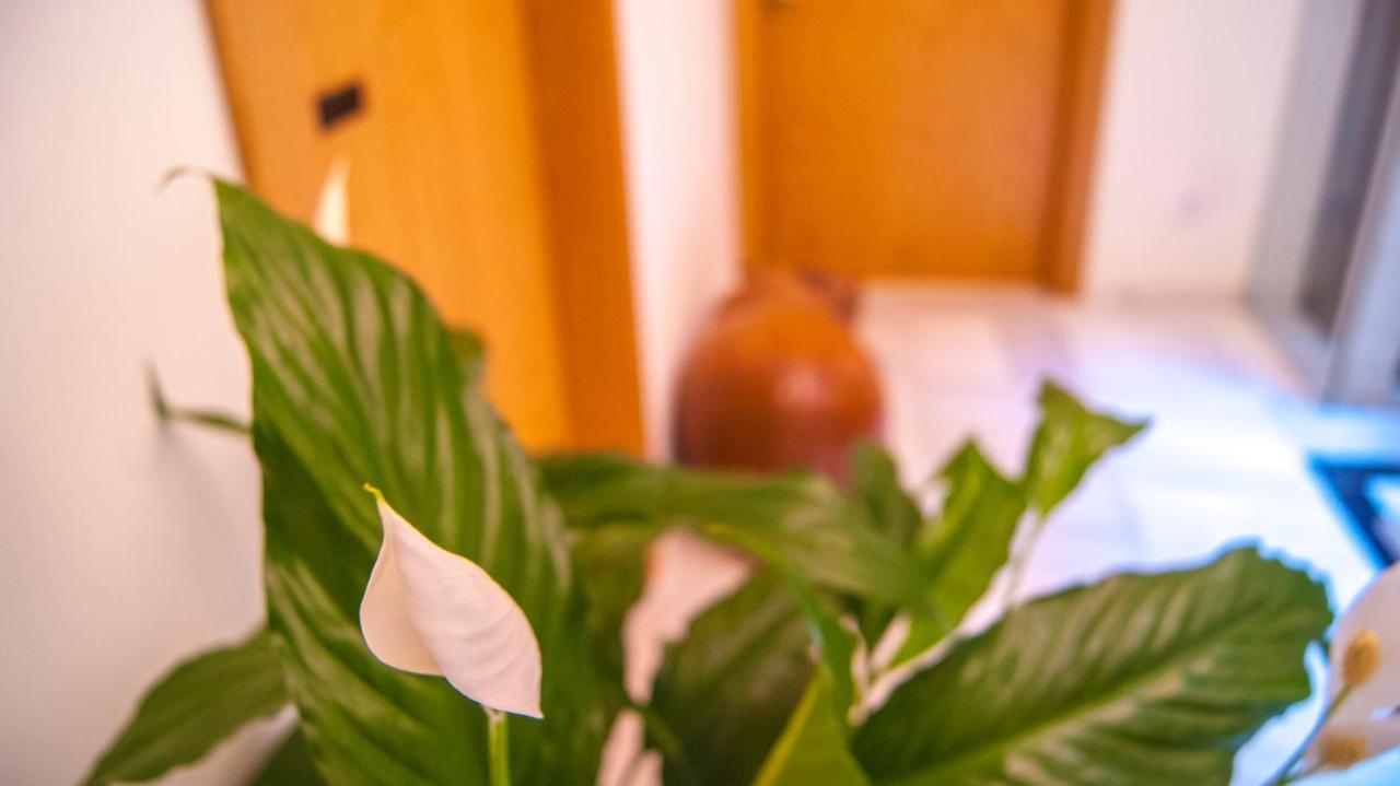 Sweet Sevilla Suites Εξωτερικό φωτογραφία